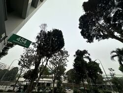 Tampines Street 42 (Tampines), Multi Generation #633661961